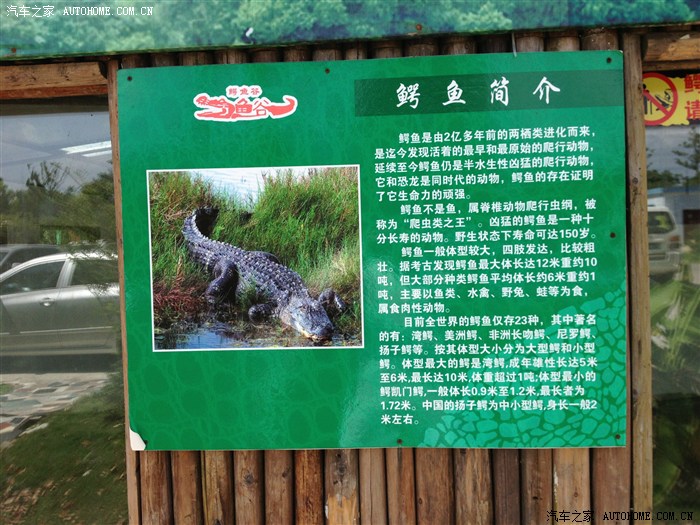 迟来的认证作业我的66昆山千灯鳄鱼谷提子园