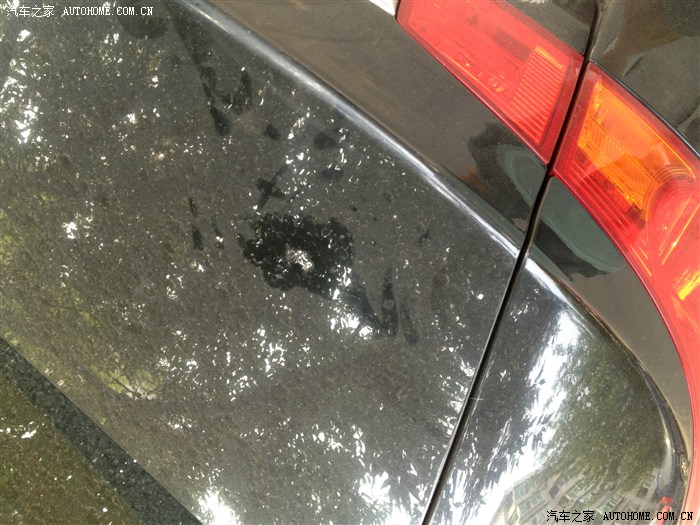 滴到车上的树胶不及时处理的悲剧