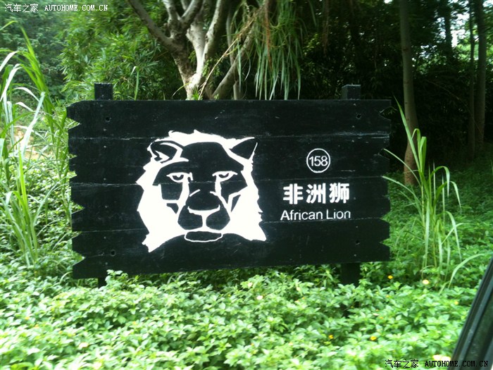 自驾从深圳广州长隆野生动物园
