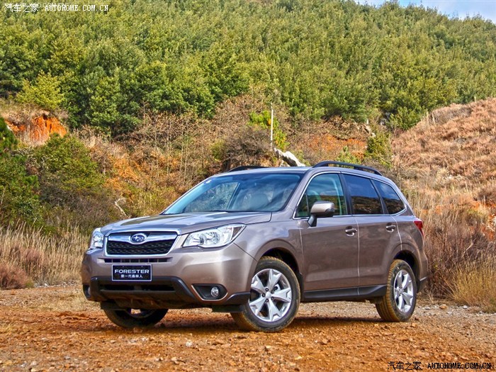 13款森林人颜色选择