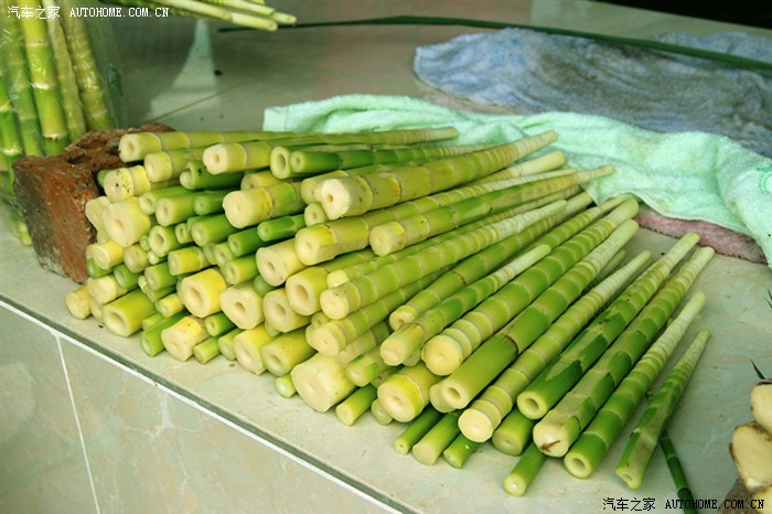 这是当地的山货叫牛尾笋 很好吃!