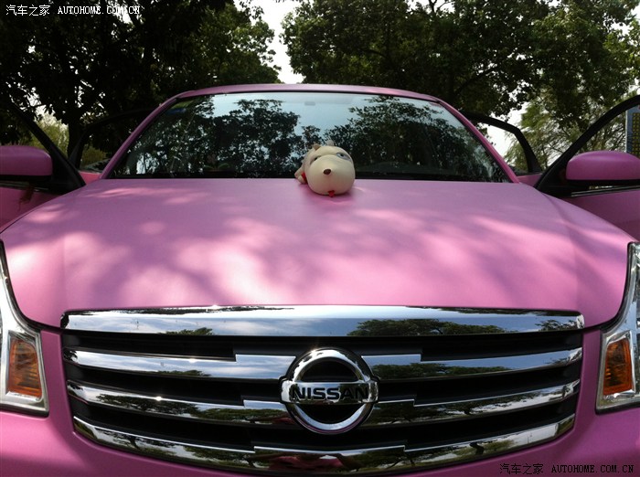 日产轩逸骚粉色
