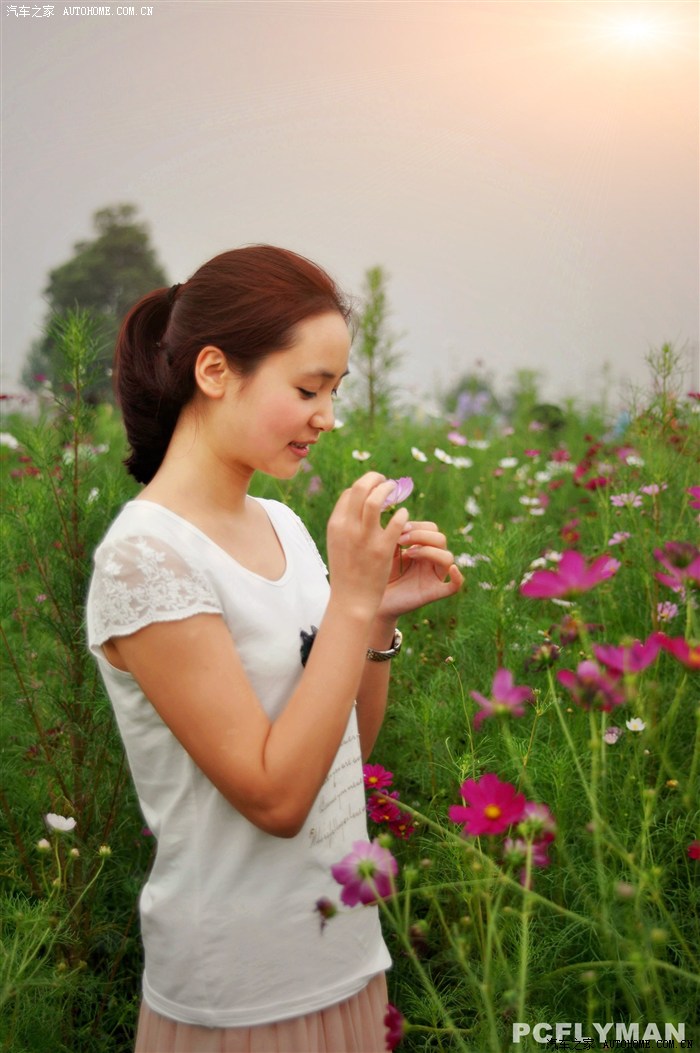 什邡马祖格桑花美女小清新