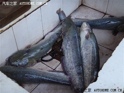 国庆出游推荐——美丽的宜昌