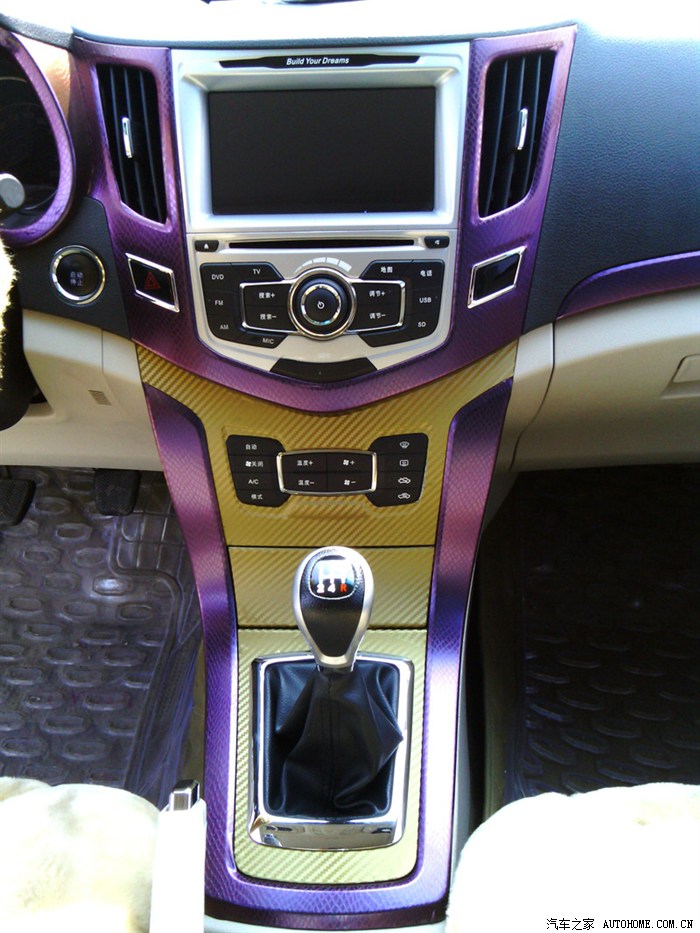 中控台原蛇皮纹改色