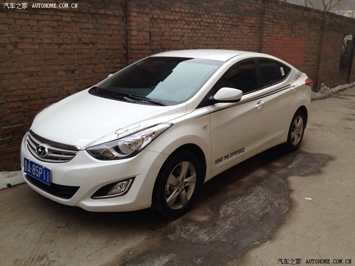 小狼的进化过程