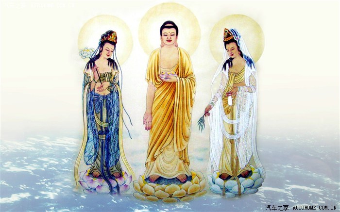 莲花底盘世界第一,有图有真像,不服来辩