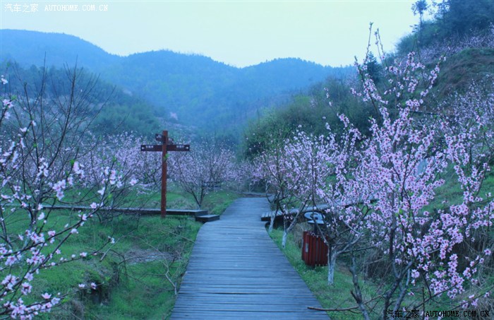 灰汤东鹜山图片