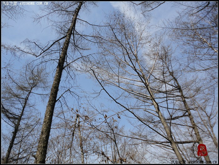 【图】不惊渤海桑田变,来看龟蒙漏泽春——春游蒙山