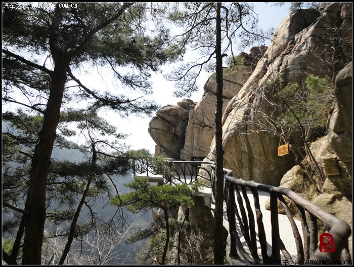 【图】不惊渤海桑田变,来看龟蒙漏泽春——春游蒙山