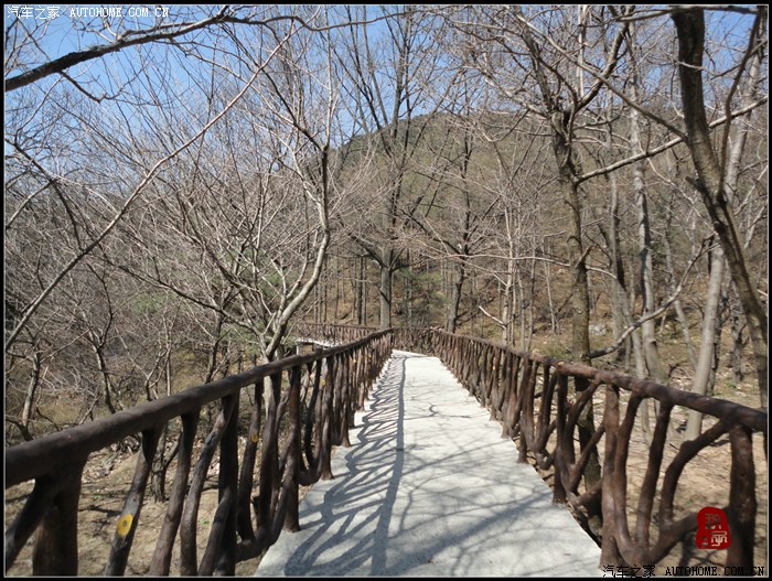 【图】不惊渤海桑田变,来看龟蒙漏泽春——春游蒙山