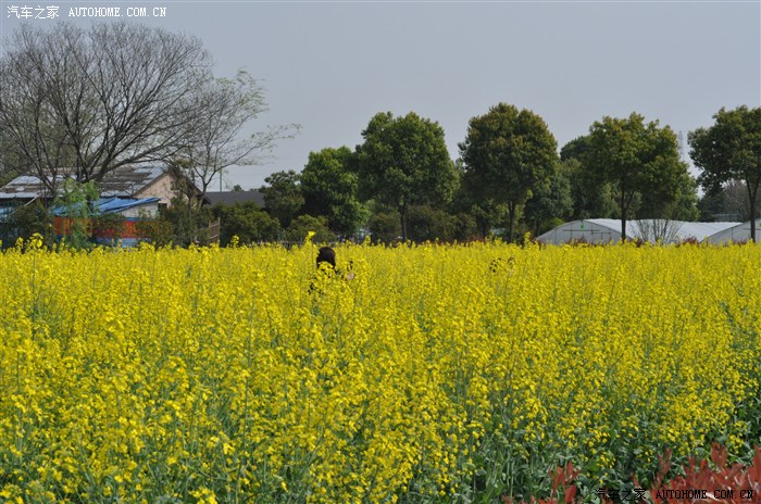 良渚野芦湾自驾游圆满落幕!