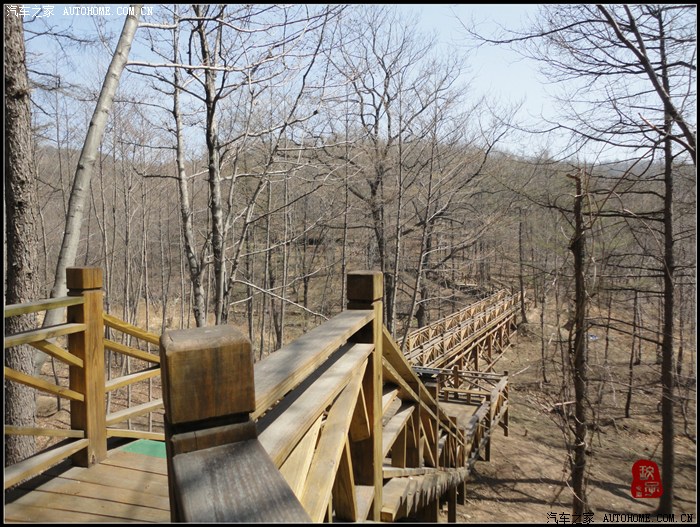 【图】不惊渤海桑田变,来看龟蒙漏泽春——春游蒙山