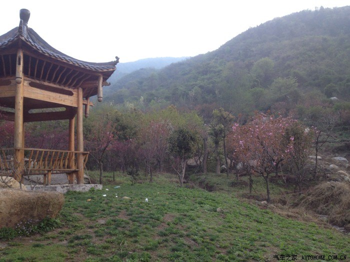 南昌湾里梅岭樱花谷探幽