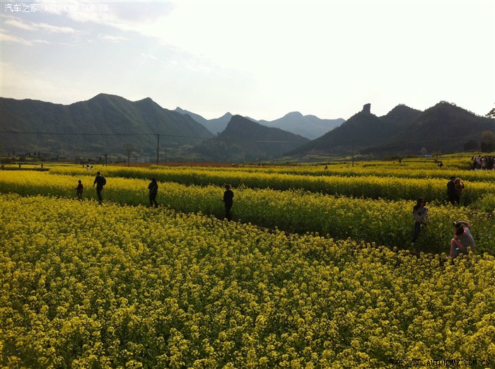 春游出行踏青的好季节