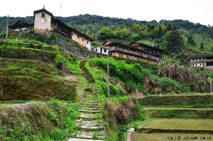 【图】待字深闺——粤东竹乡蕉岭南礤镇蓝源村_广东论坛_汽车之家论坛