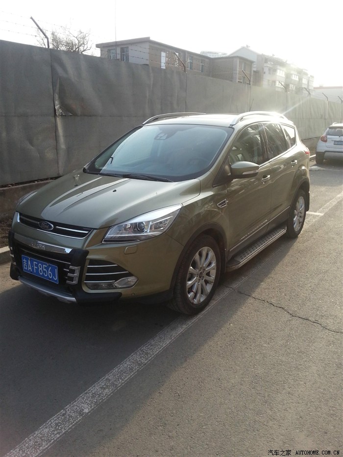 琥珀金翼虎作业