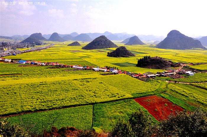 【春季出游】自驾云之南 醉在春光里