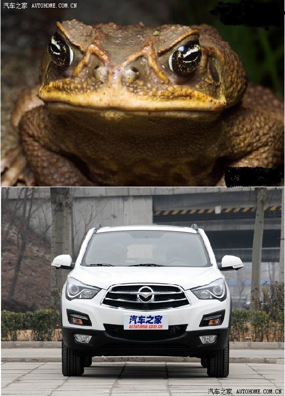 最近仿生学很流行咱也来个海马的仿生学