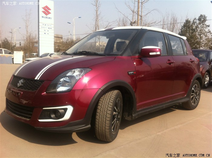 非常漂亮的双色小雨燕