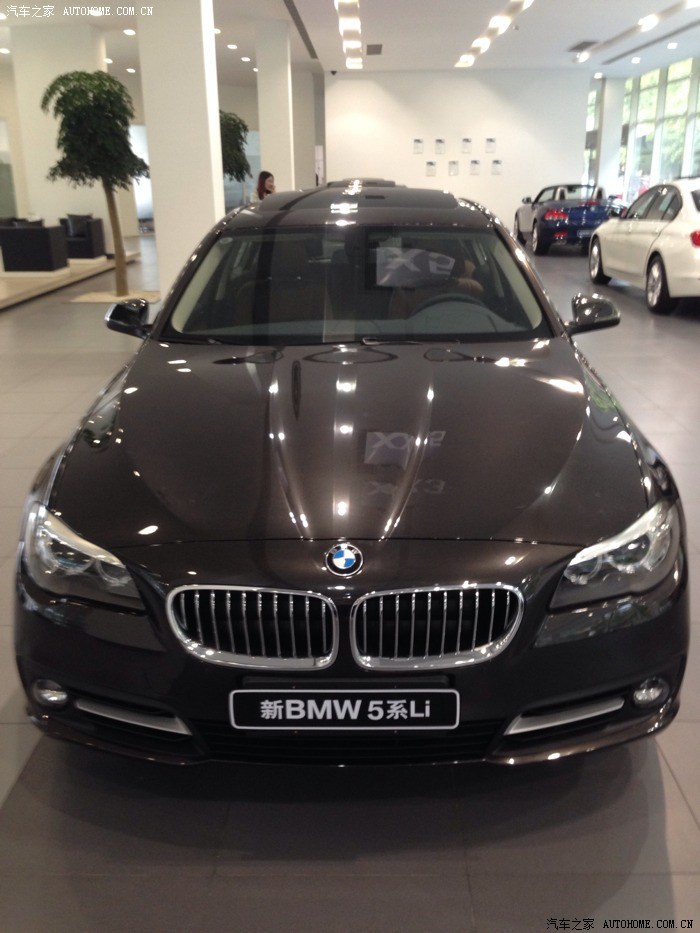 颜色qjh2003 2014/05/07 11:49:15 发表在 22楼  我感觉你这个巴西棕