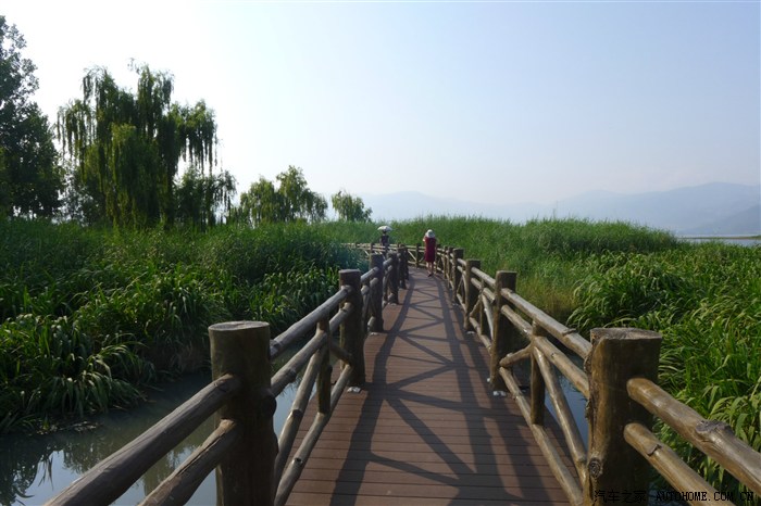 西昌邛海最美溼地公園煙雨鷺洲溼地公園