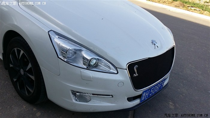 新鲜出炉的508中网改装作业附自家活体大白狮靓照多图