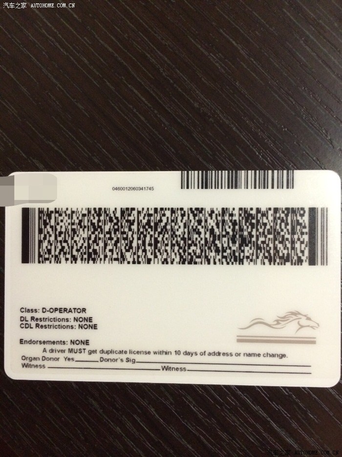 美国驾照翻译求助