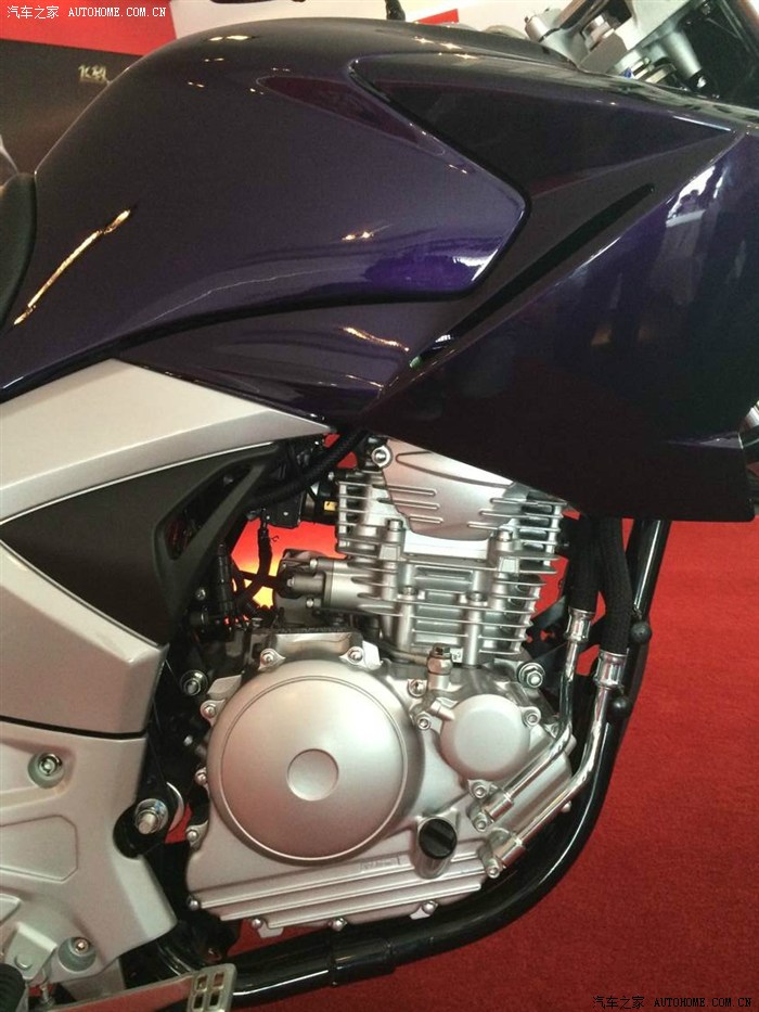 雅马哈飞致ys250今天正式发布了