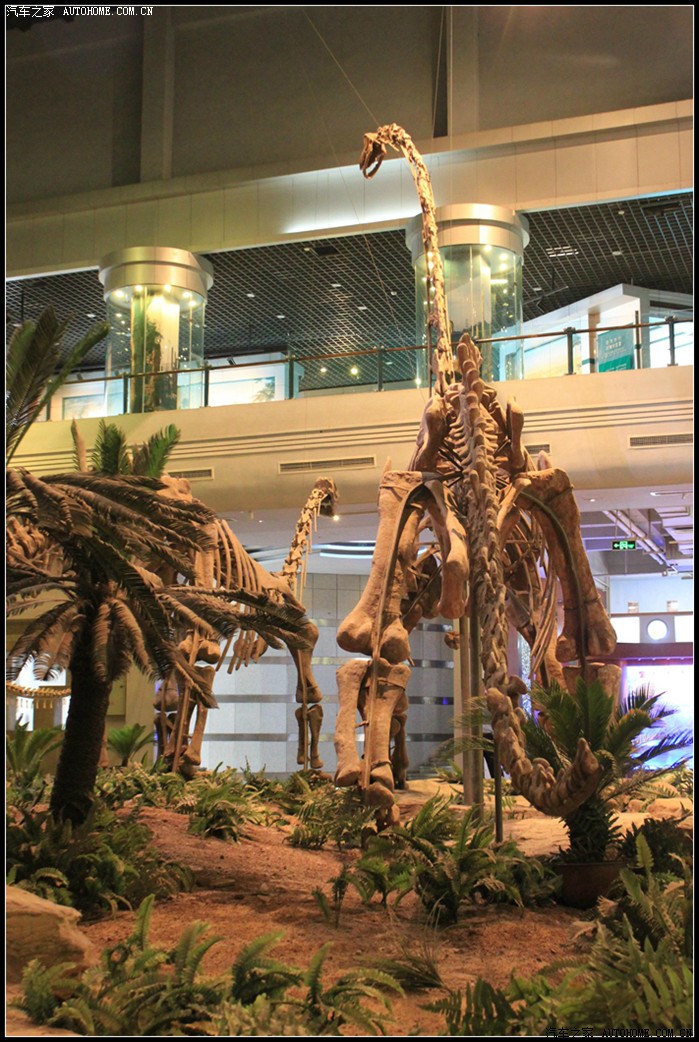 探秘侏罗纪全球霸主走进自贡恐龙博物馆