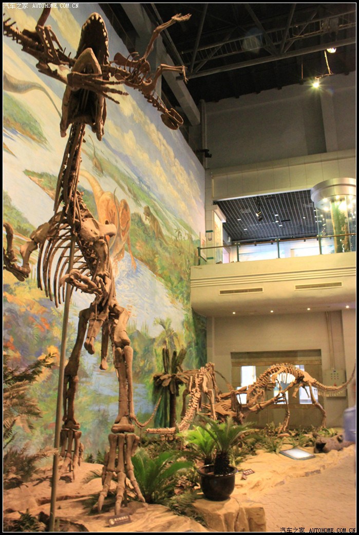 探秘侏罗纪全球霸主走进自贡恐龙博物馆