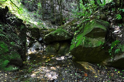 【风光】团结乡豹子箐,慢门练习!