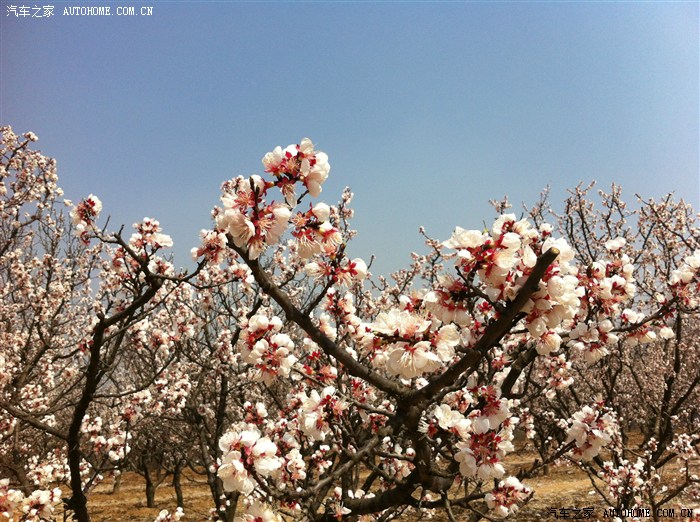 蓝田县华胥镇上许村杏花谷一日游