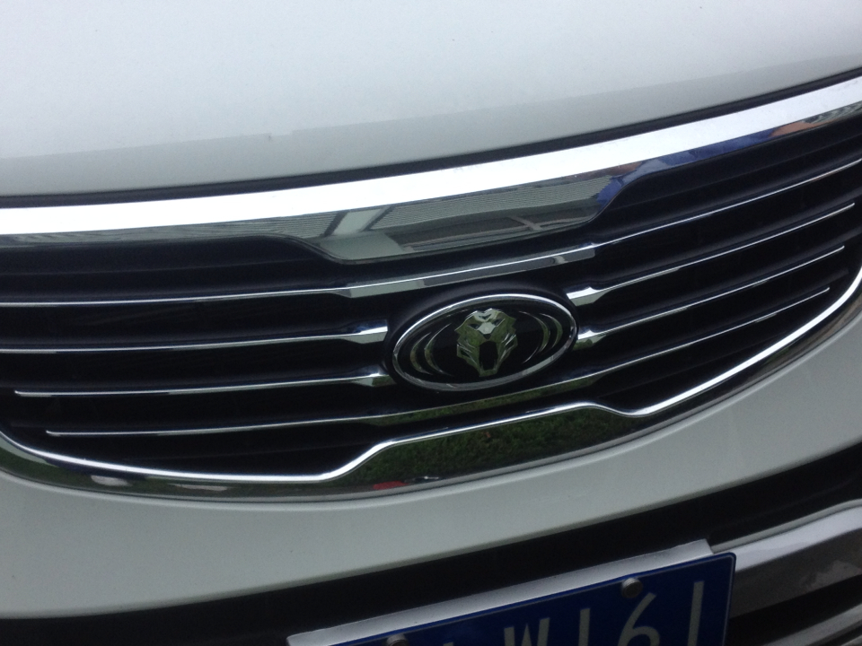 虎头车标安装完成,请您欣赏