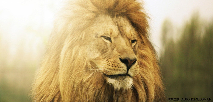 新车主福利蒙迪欧800384高清300像素壁纸更新下载