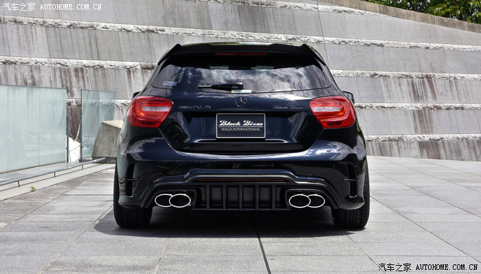 benz a-class wald sports line black bison edition_奔驰a级论坛