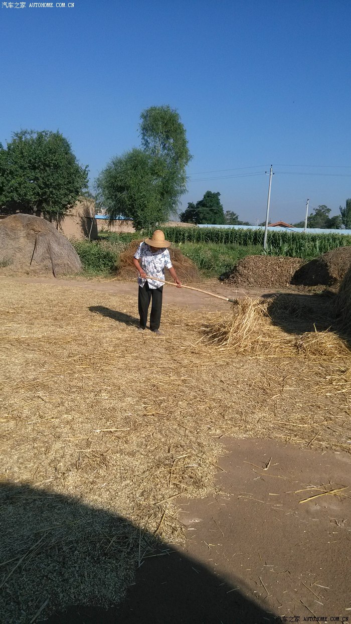 麦收时节——"碾场"