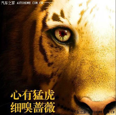 心有猛虎 细嗅蔷薇——神行者538埃因树绿认证作业