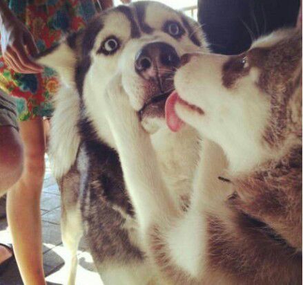 没事进来转转,唠唠嗑交流交流