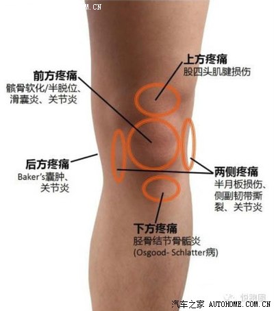 的原因 & 针对性训练方法 1,膝盖损伤 受伤原因: 1,大腿肌肉不够强壮