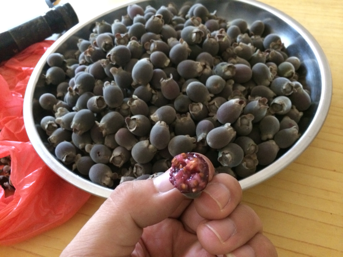 还有这地道的美食:山棯子