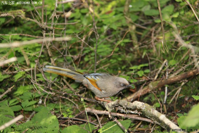 8天7夜古都西安最美九寨若尔盖草原拉卜楞寺毛乌素沙漠