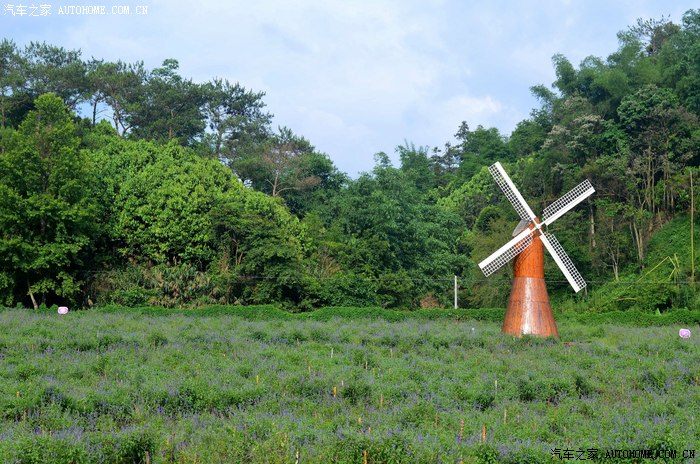大汉暑假出行之一贵州荔波香草园薰衣草小七孔