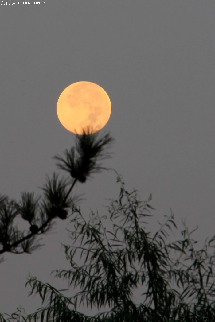 月亮正月十七早晨五点多拍的月亮