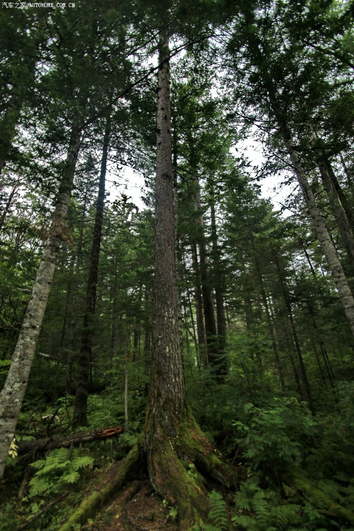 【图】快乐暑期游之大美长白山!_自驾游论坛_汽车之家论坛