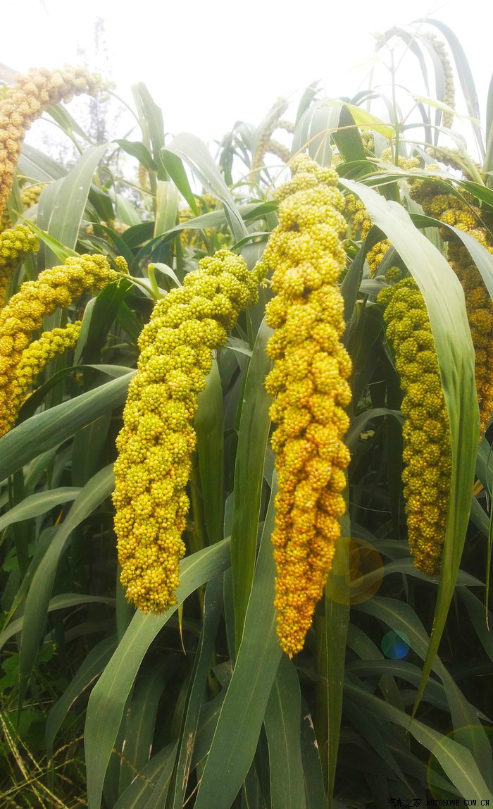 亲子三代延庆周末游百里画廊穿越之旅