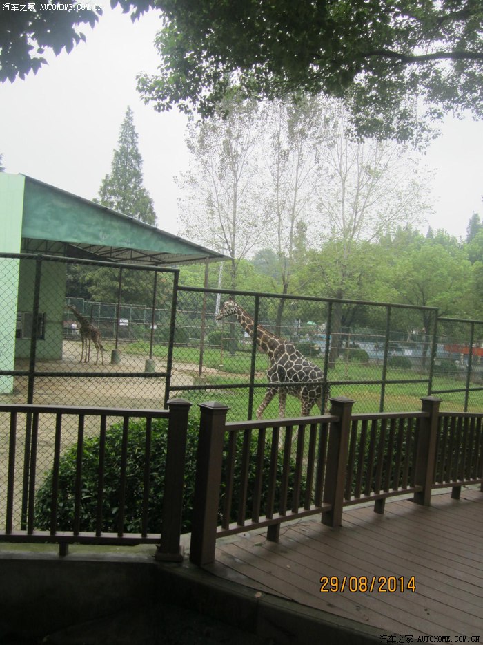 滁州动物园图片