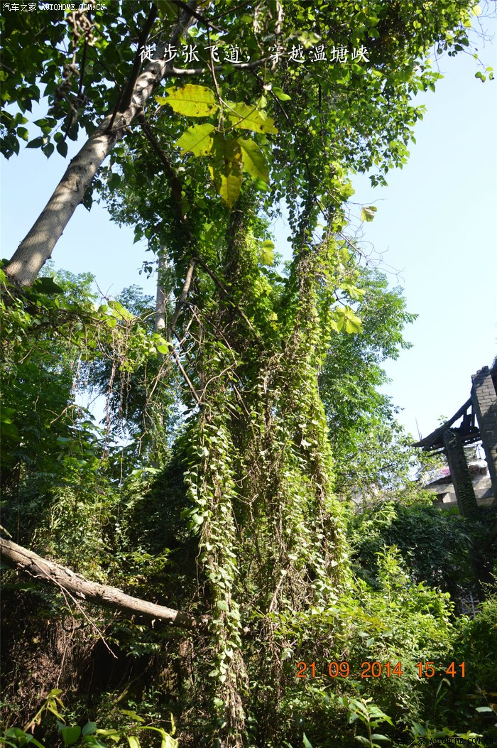 徒步张飞道穿越温塘峡记重庆北碚一处被世人遗忘的美景