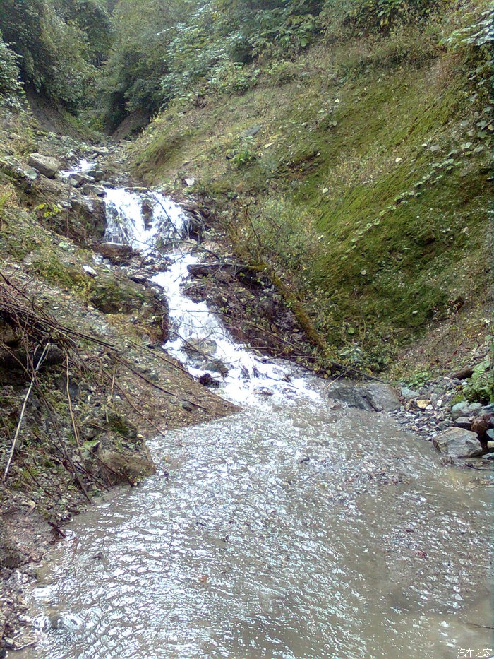 【国庆秋游】耿达熊猫生态核心区_四川_手机汽车之家