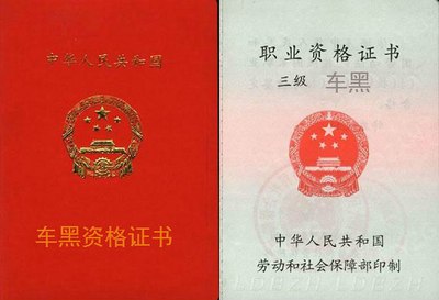 大家来投票看看,你们认为的日系车黑都是哪一类?